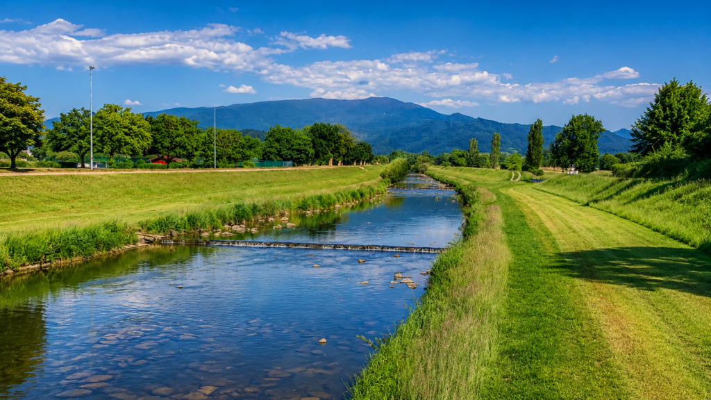 Blick auf die Elz bei Emmendingen-Wasser mit grünen Uferböschungen, ruhigem Flusslauf und Schwarzwaldkulisse im Hintergrund.
