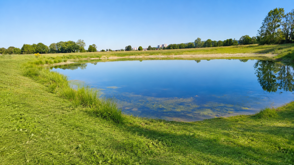 Vereinssee des Angelsportvereins Wasser e. V. in Emmendingen-Wasser